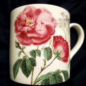 Rare Vintage Stechcol Gracie Mug Rose Buds Bone China Elegant Coastline imports